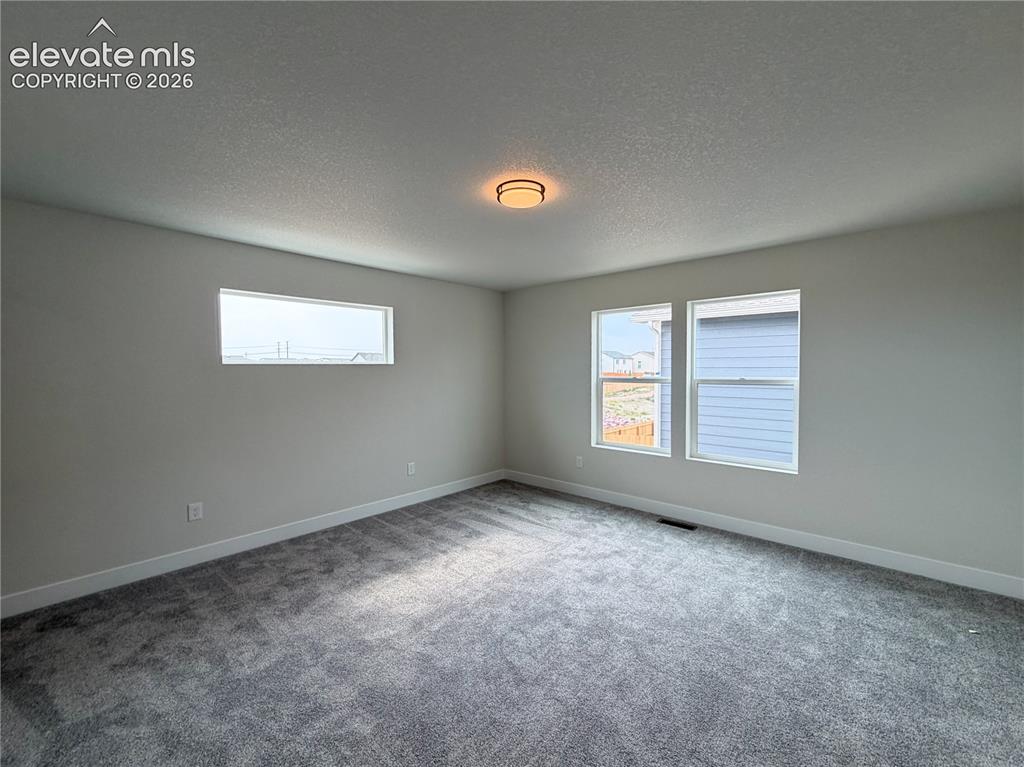 8222 Lemon Grass Road Falcon, CO 80831 - Photo 26 of 40