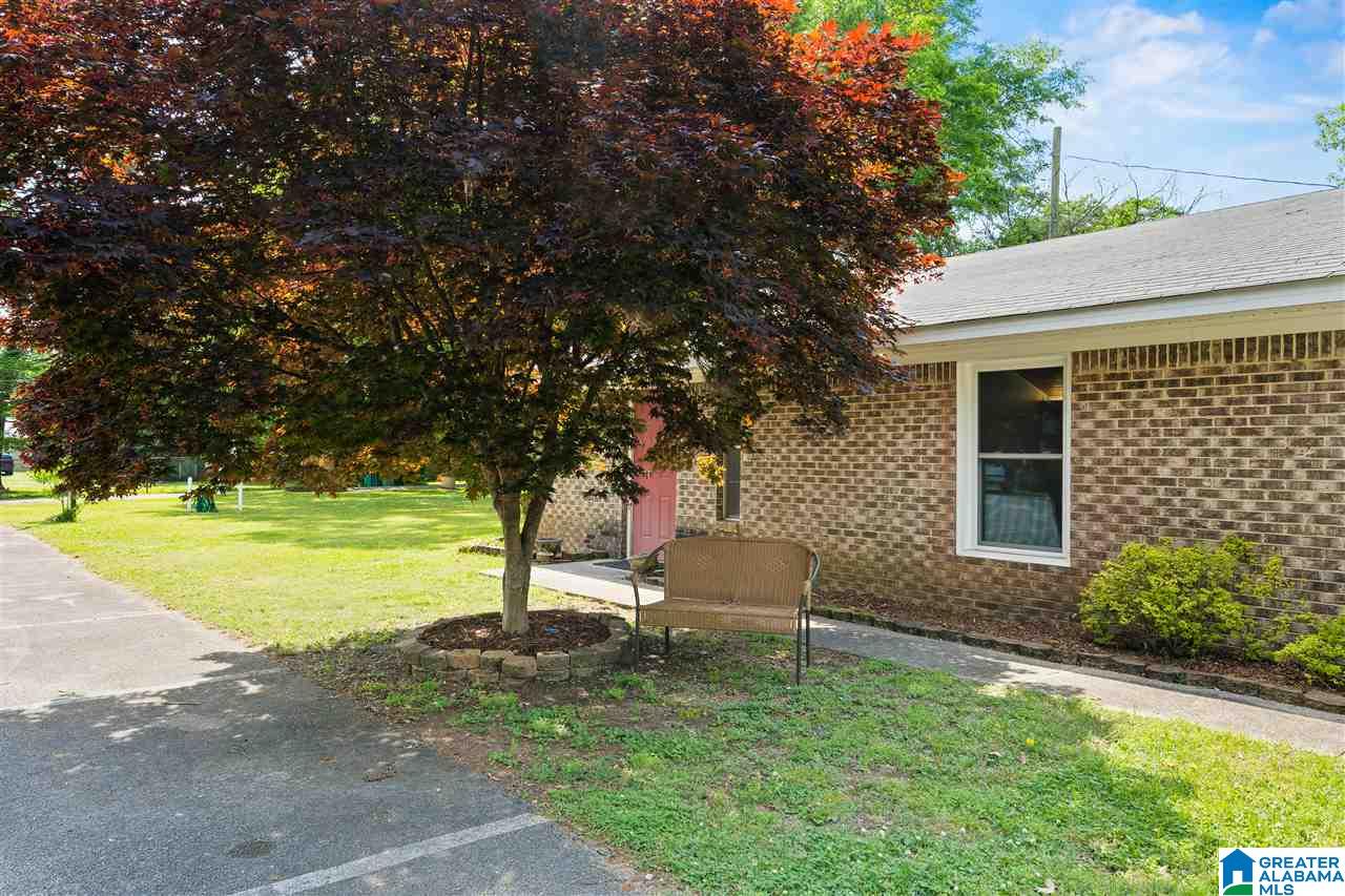 107 Gin Street Springville, AL 35146 - Photo 30 of 31
