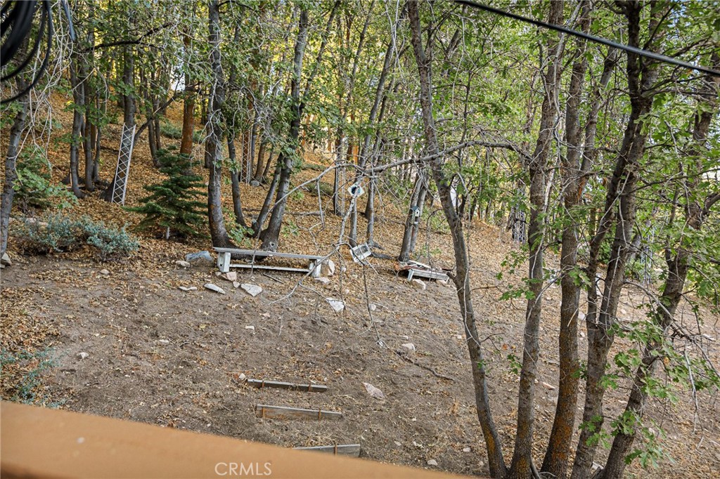2151 Tank Road Running Springs, CA 92382 - Photo 25 of 29 a view of a tree with a backyard of the house