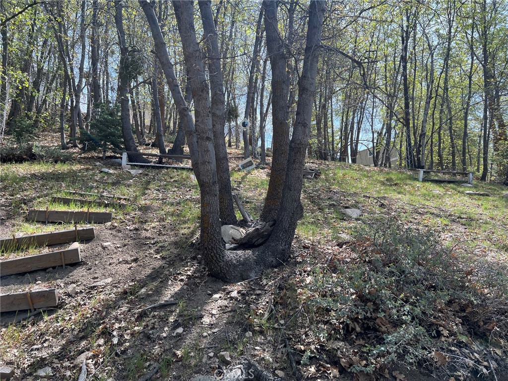 2151 Tank Road Running Springs, CA 92382 - Photo 27 of 29 a view of a yard with large trees