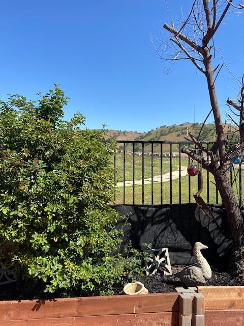 20640 Sarazen Place Patterson, CA 95363 - Photo 5 of 7 a view of a large tree with a yard