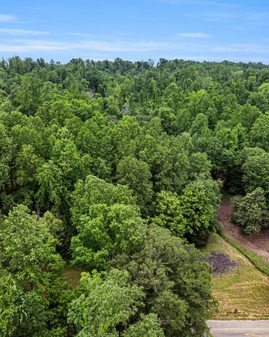 a view of a field of grass and trees