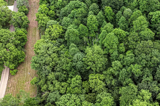 an aerial view of a house with a tree