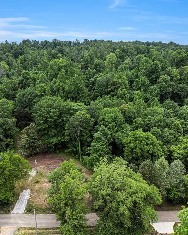 a view of a lush green forest with lots of trees