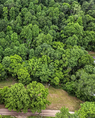 a view of a garden with a bench