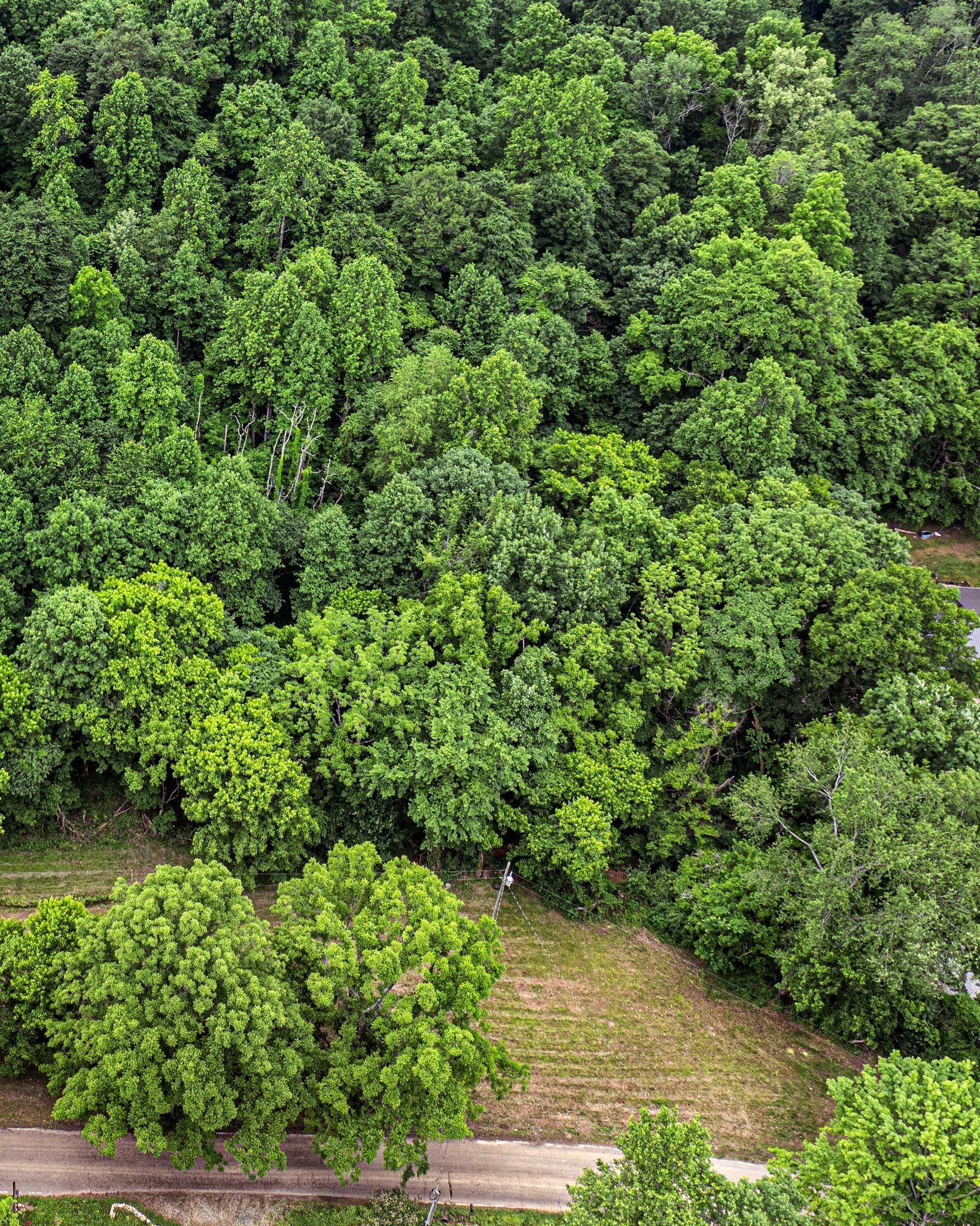 0 Turkey Creek Road Dickson, TN 37055 - Photo 19 of 22 Gallery Image 19