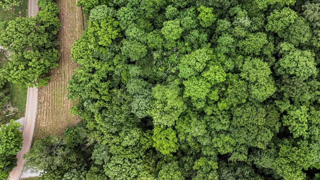 $88,000 | 0 Turkey Creek Road, Dickson, TN 37055