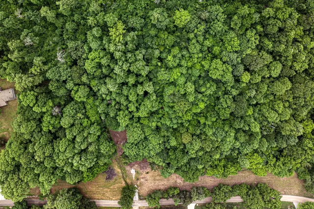 a backyard of a house with lots of green space