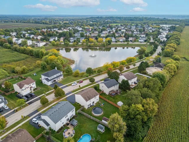 a green field with big trees