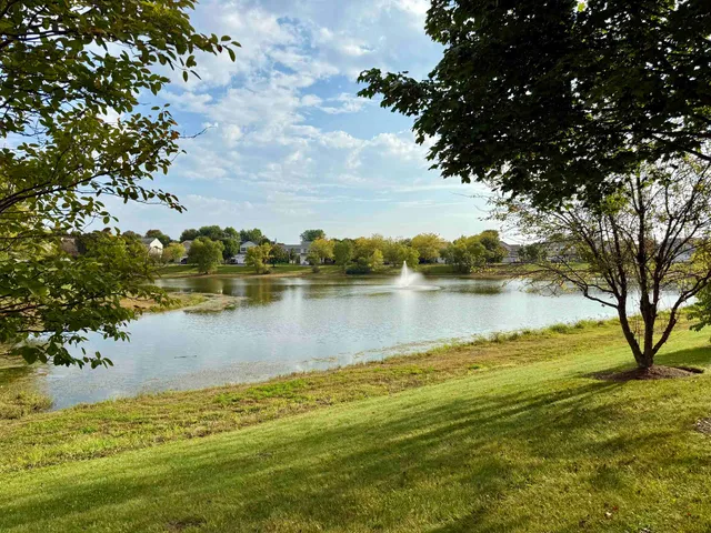 a view of a park with large trees
