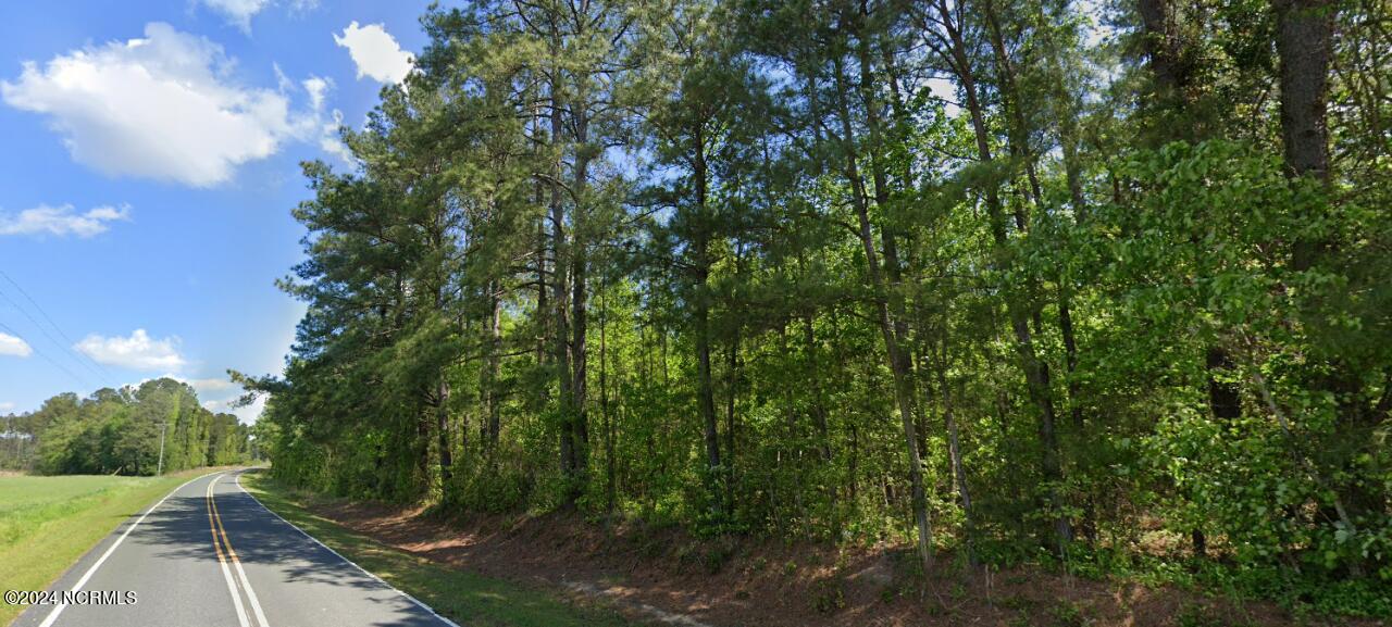 0 Elkton Road Clarkton, NC 28433 - Photo 3 of 3 3