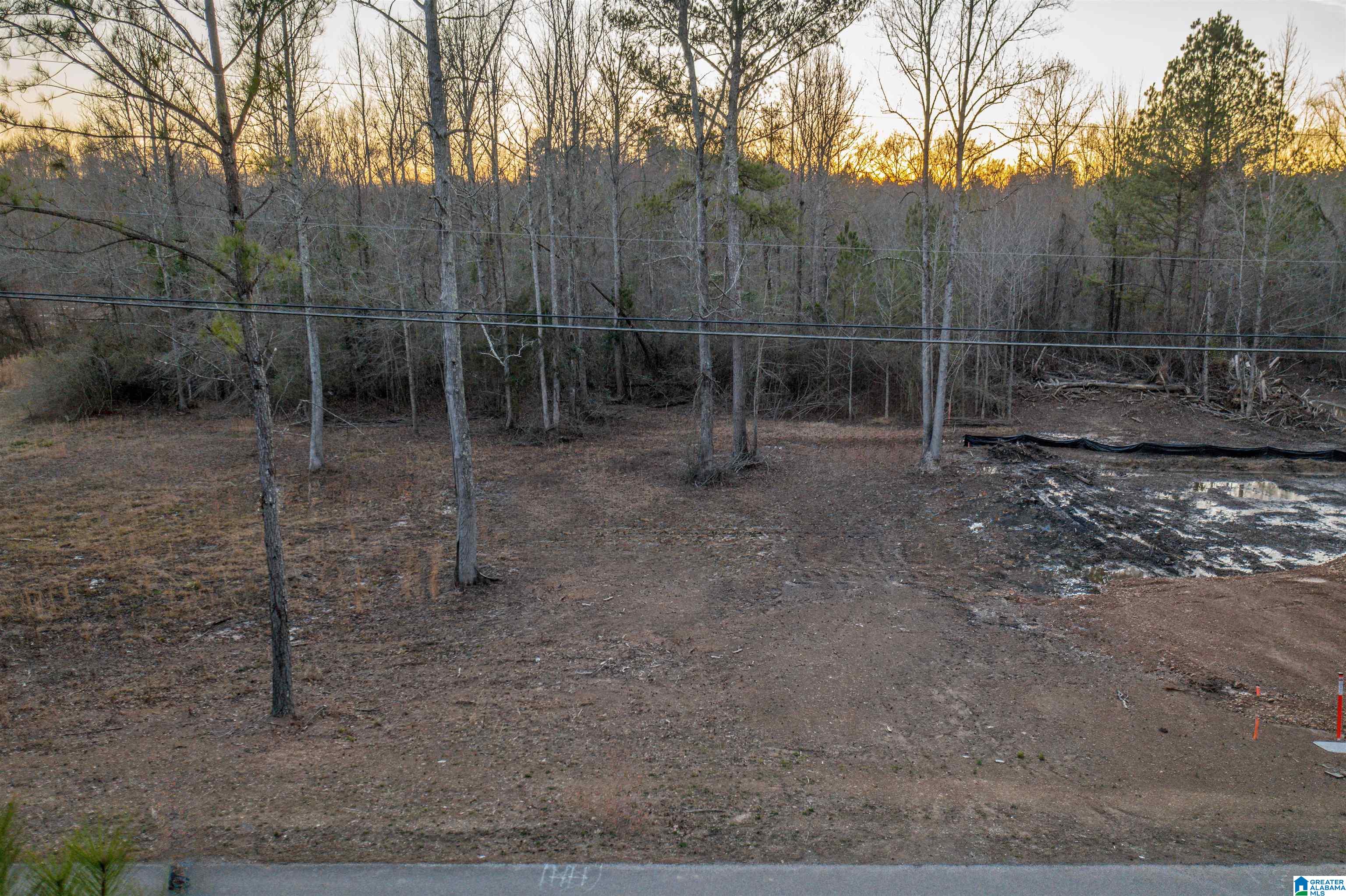 1845 Reads Mill Road, Unit 1 Wellington, AL 36279 - Photo 6 of 11