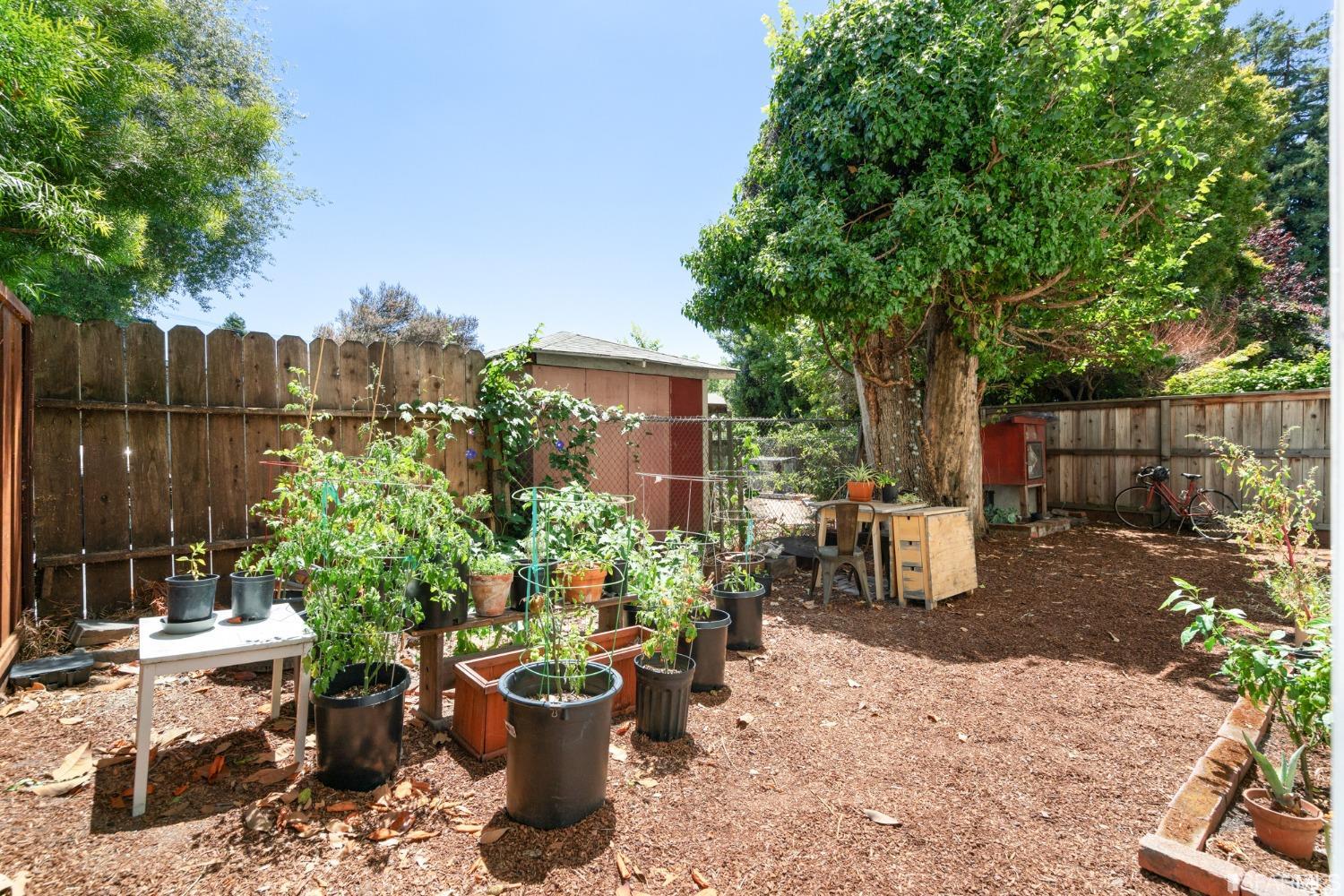 1934 Stuart Street Berkeley, CA 94703 - Photo 50 of 56 a view of a backyard with sitting area and furniture