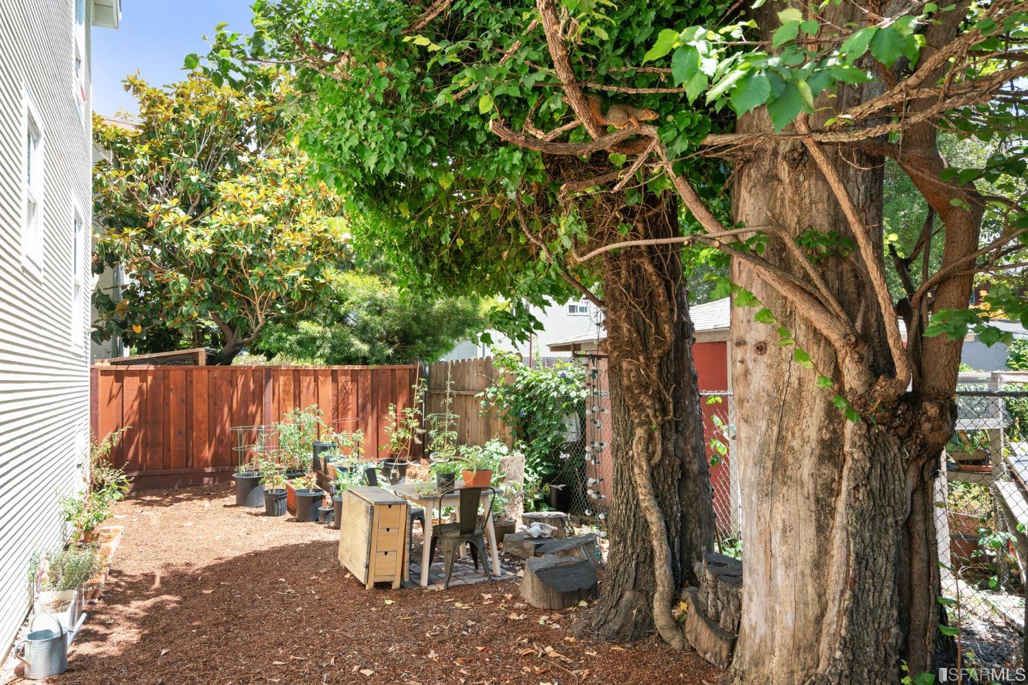 1934 Stuart Street Berkeley, CA 94703 - Photo 51 of 56 a view of a backyard with table and chairs potted plants and large tree