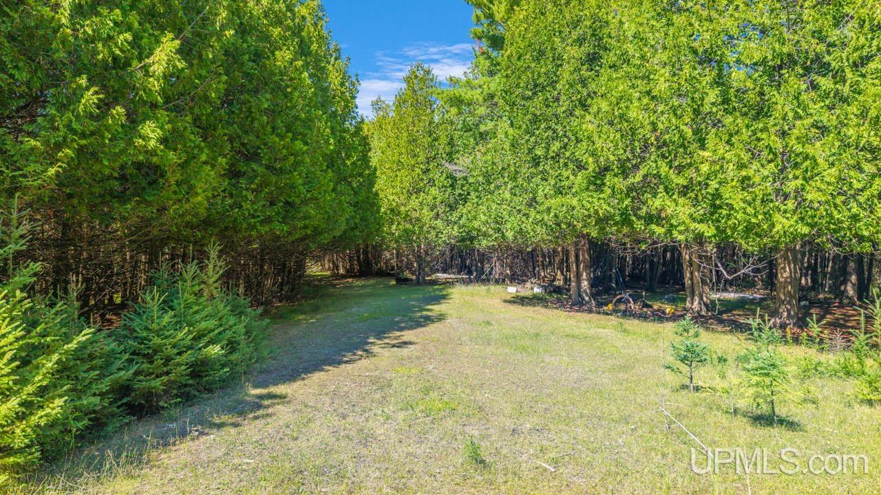 16861 17th Road Garden, MI 49835 - Photo 42 of 48 Gallery Image 42