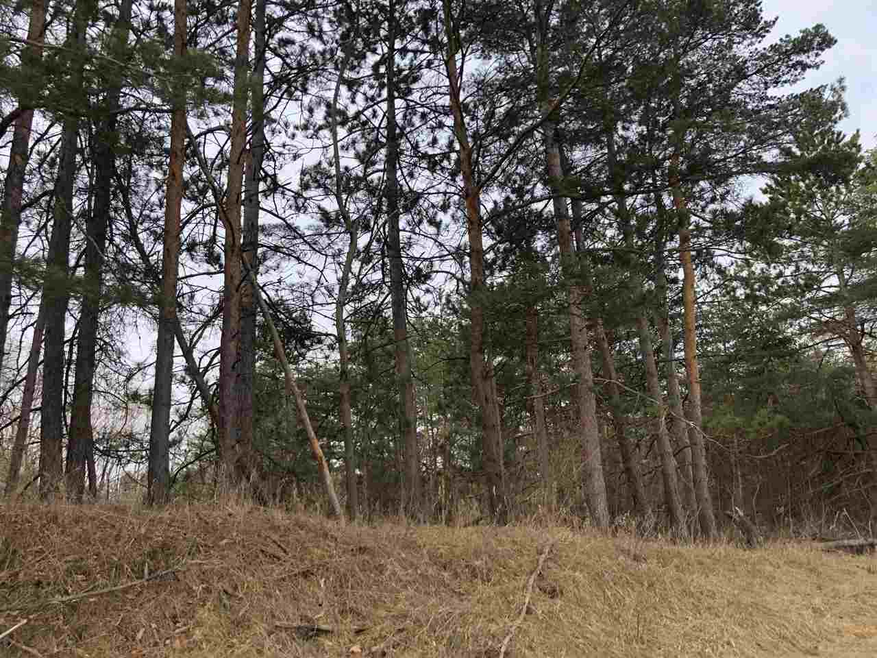 40-acres East Cranberry Lake Road Harrison, MI 48625 - Photo 21 of 21