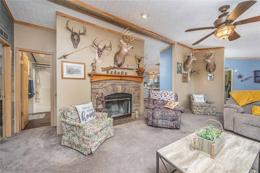 1788 Rosenbush Road Newport, OH 45768 - Photo 11 of 34 Living area with crown molding, a textured ceiling, carpet flooring, a ceiling fan, and a fireplace