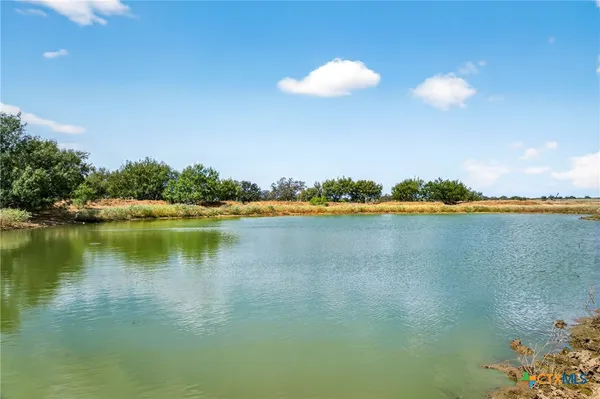 a view of a lake with a city
