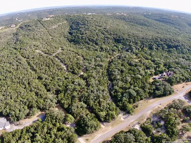 an aerial view of forest