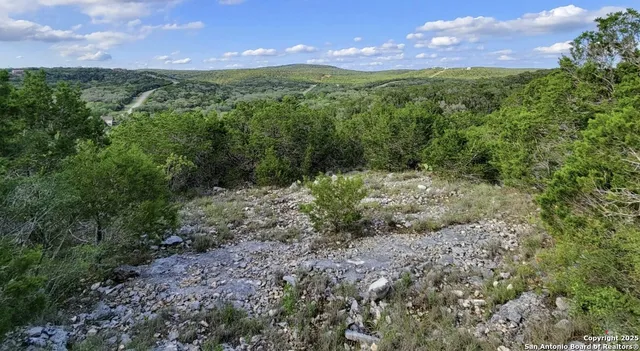 a view of outdoor space and trees