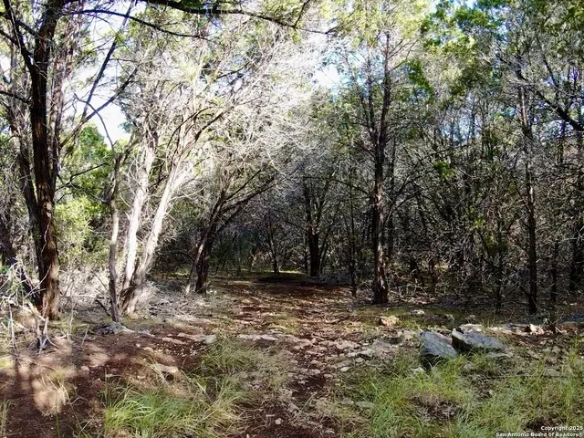 an aerial view of residential houses with outdoor space and trees