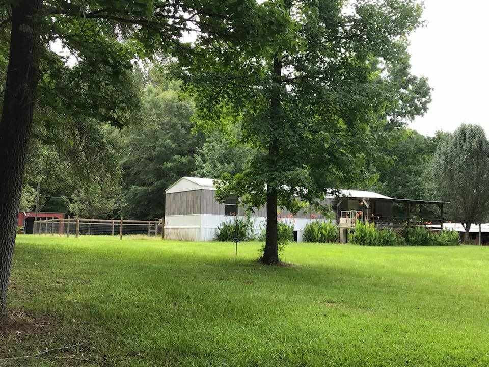 759 Coal Bluff Road Lena, MS 39094 - Photo 1 of 8 Photo 1