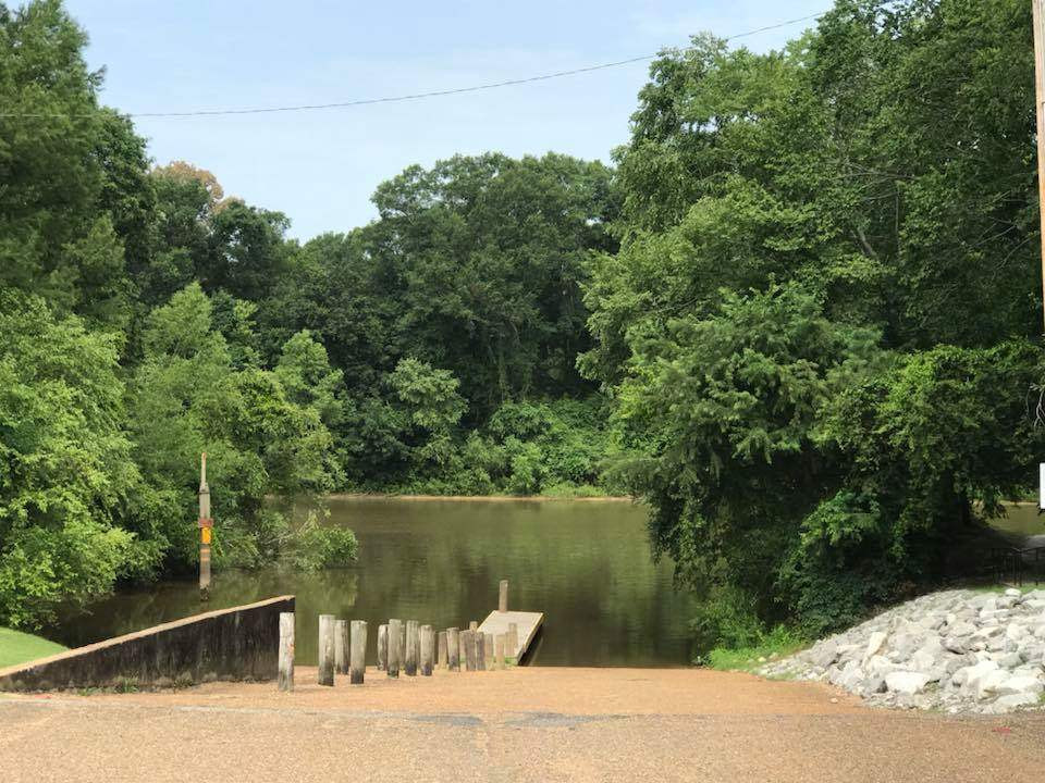 759 Coal Bluff Road Lena, MS 39094 - Photo 2 of 8 Photo 2