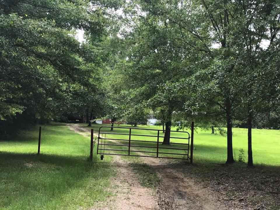 759 Coal Bluff Road Lena, MS 39094 - Photo 5 of 8 Photo 5