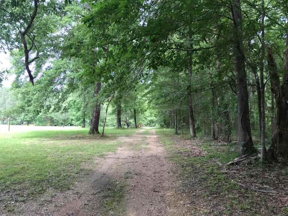 759 Coal Bluff Road Lena, MS 39094 - Photo 6 of 8 Photo 6