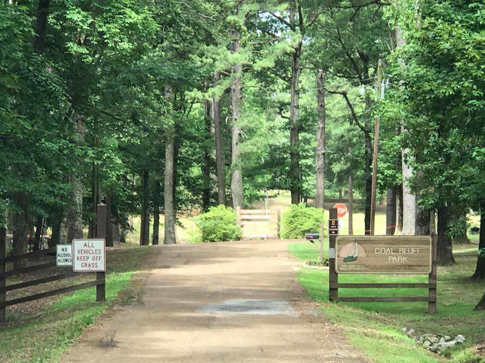 759 Coal Bluff Road Lena, MS 39094 - Photo 7 of 8 Photo 7