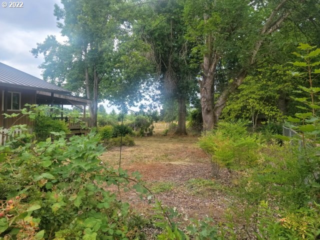 10030 South New Era Road Canby, OR 97013 - Photo 5 of 29 Front Yard