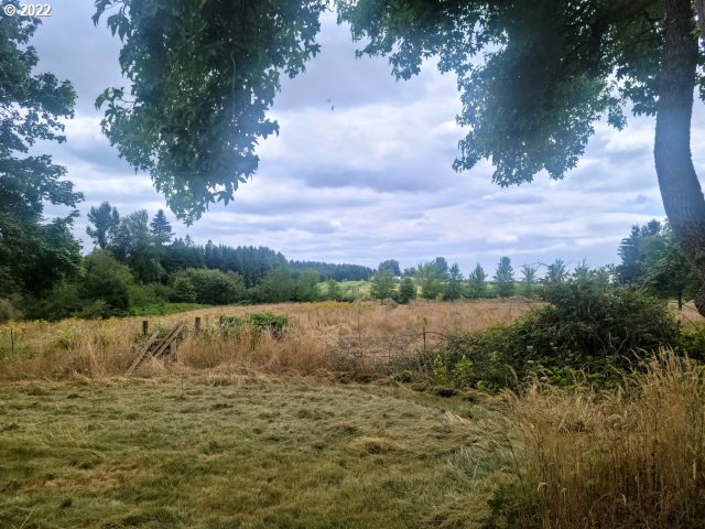 10030 South New Era Road Canby, OR 97013 - Photo 7 of 29 Gallery Image 7