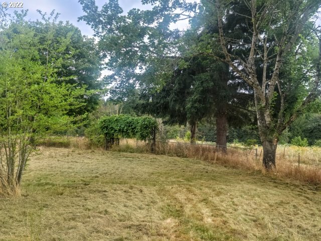 10030 South New Era Road Canby, OR 97013 - Photo 8 of 29 Backyard