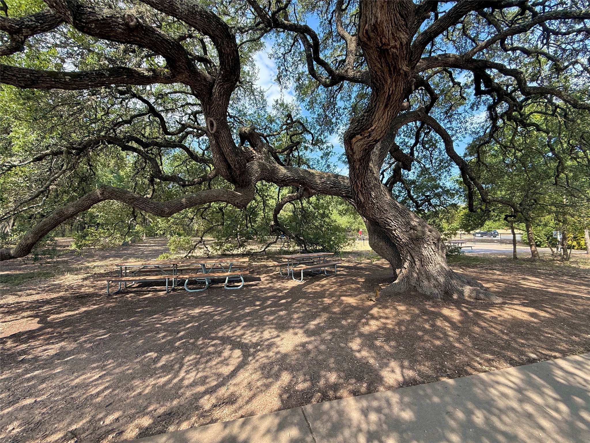 7826 Wheel Rim Circle Austin, TX 78749 - Photo 33 of 38 Mature oak trees shade a peaceful outdoor common area featuring picnic tables.