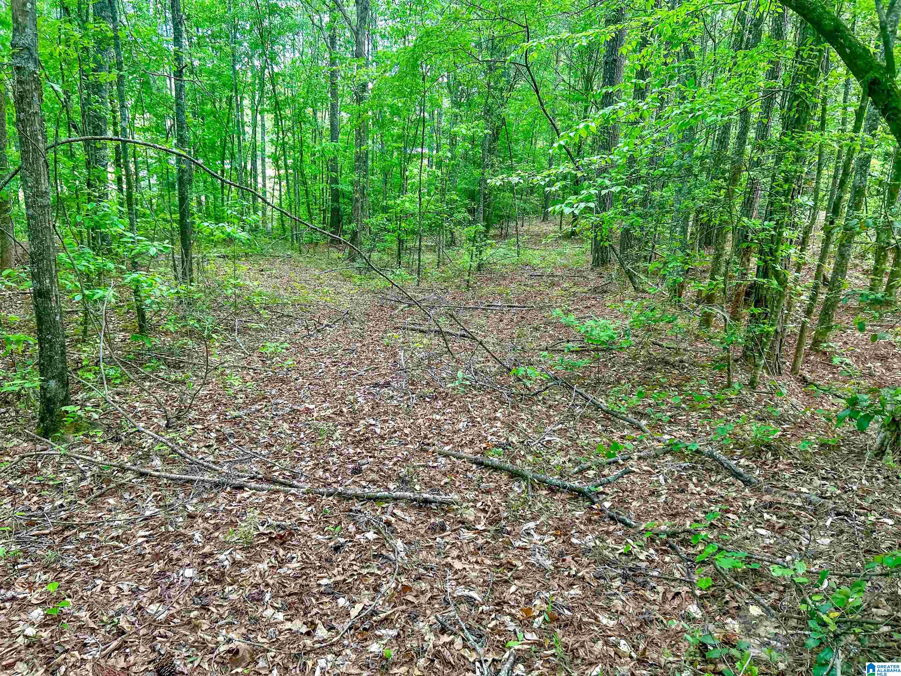 1 Old Mill Road Goodwater, AL 35072 - Photo 21 of 22