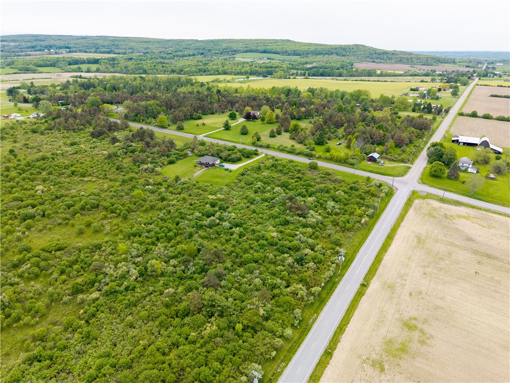Rock Spring Hill Road Dansville, NY 14437 - Photo 8 of 20