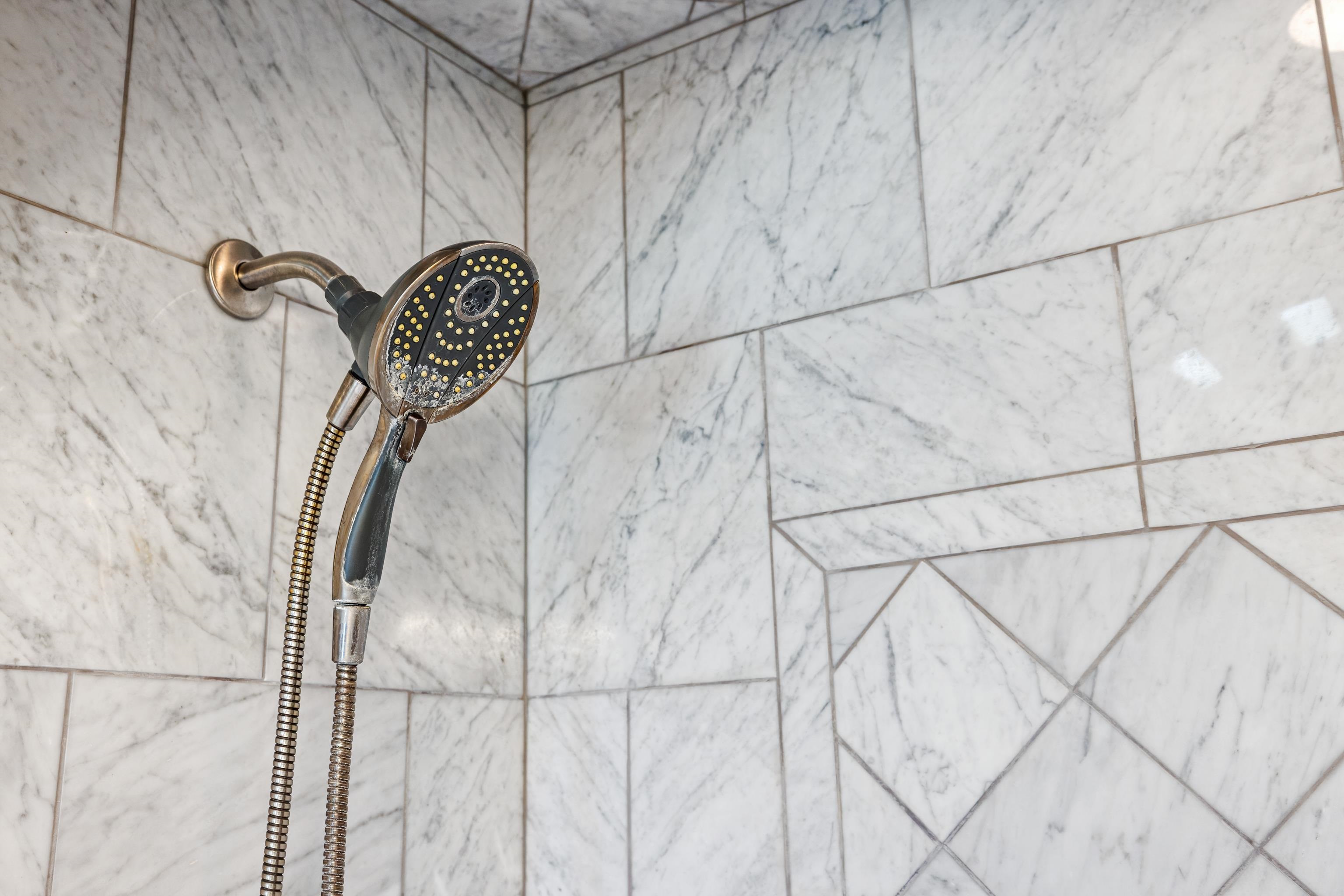 1569 Massanetta Springs Road Harrisonburg, VA 22801 - Photo 43 of 75 Primary shower