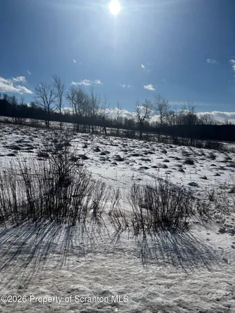 a view of a dry yard