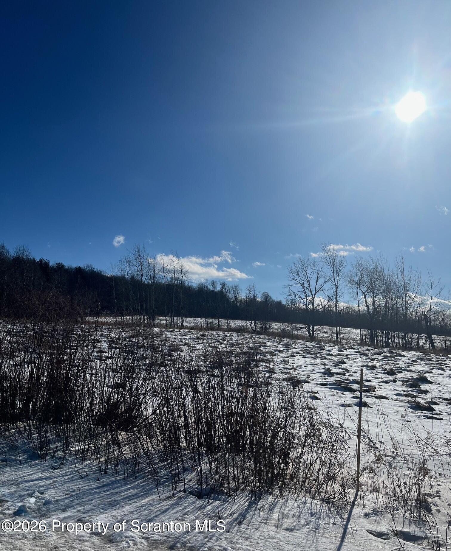 Hickory Hill Road Scranton, PA 18512 - Photo 6 of 11 Ludemann Land 5 26