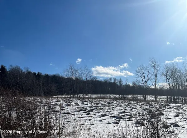 a view of a snow on the side of the road