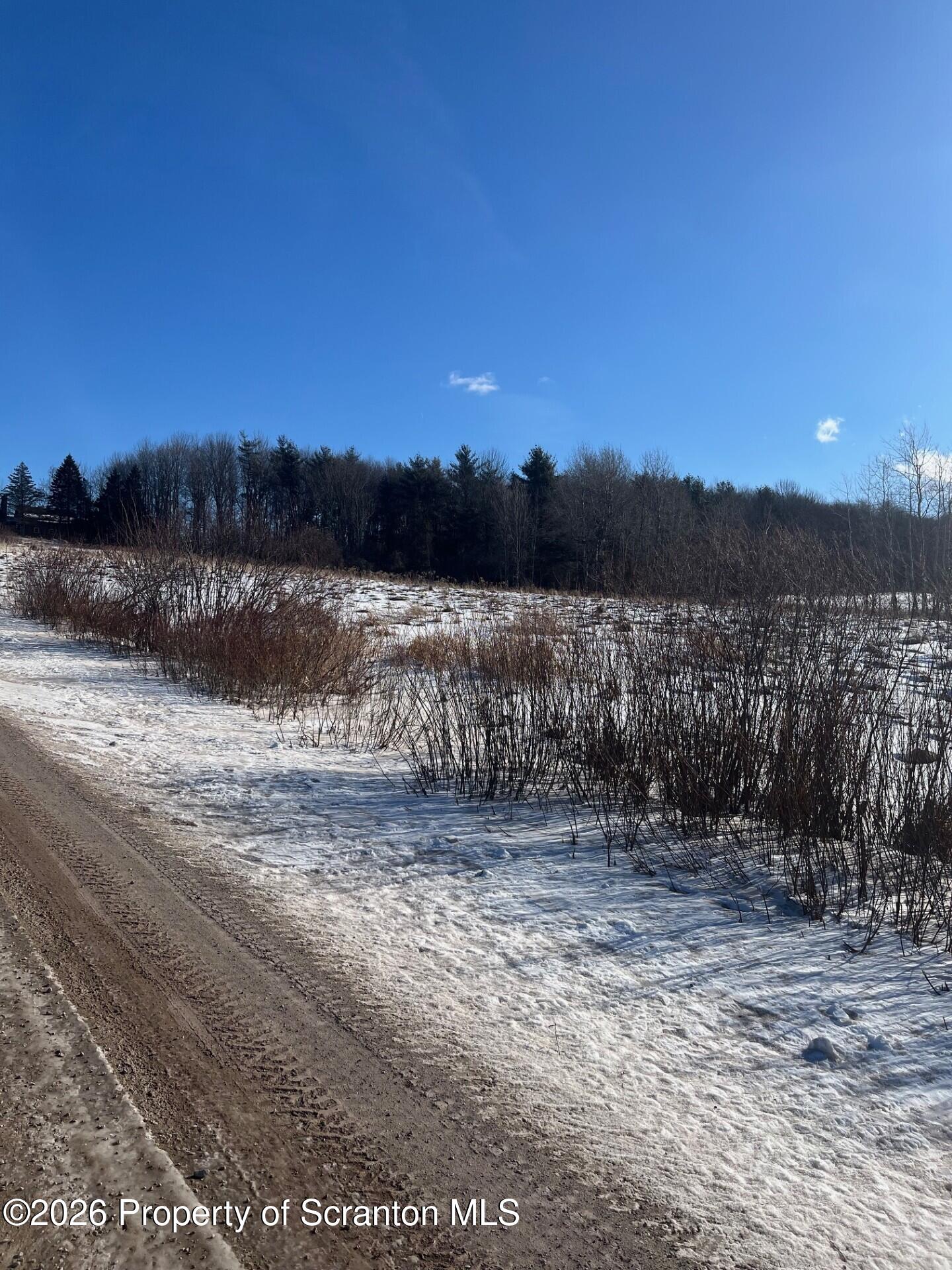 Hickory Hill Road Scranton, PA 18512 - Photo 10 of 11 Ludemann Land 9 26