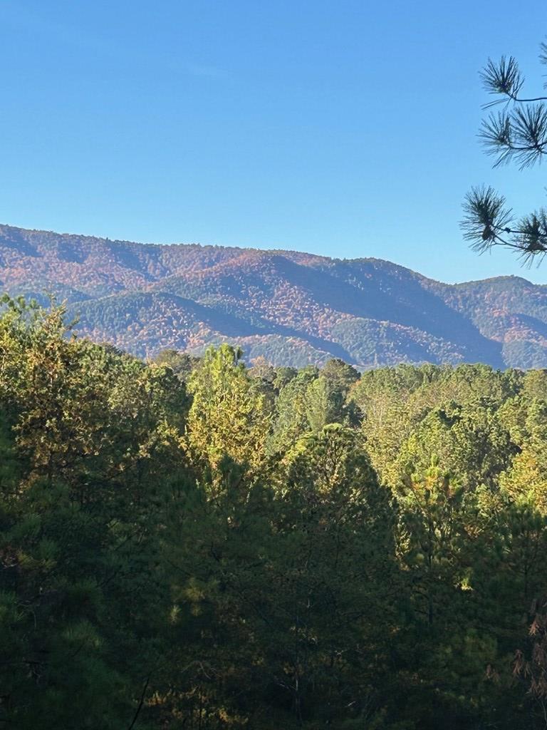 302 Chanceytown Road Copperhill, TN 37317 - Photo 2 of 12