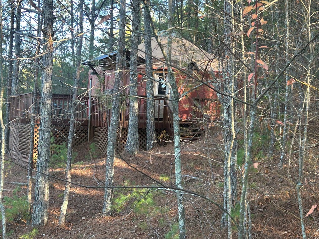 302 Chanceytown Road Copperhill, TN 37317 - Photo 3 of 12