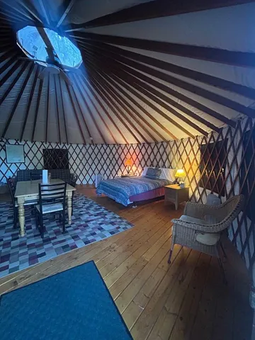 a view of a house with a tree next to a yard