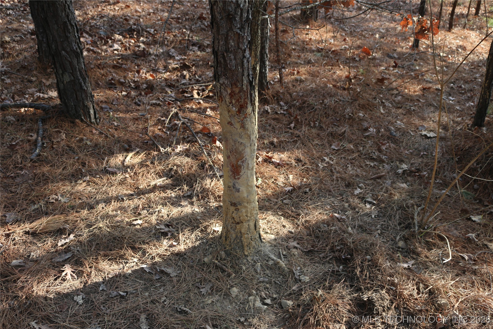 Marsh Loop Loop Smithville, OK 74957 - Photo 37 of 65 Gallery Image 37
