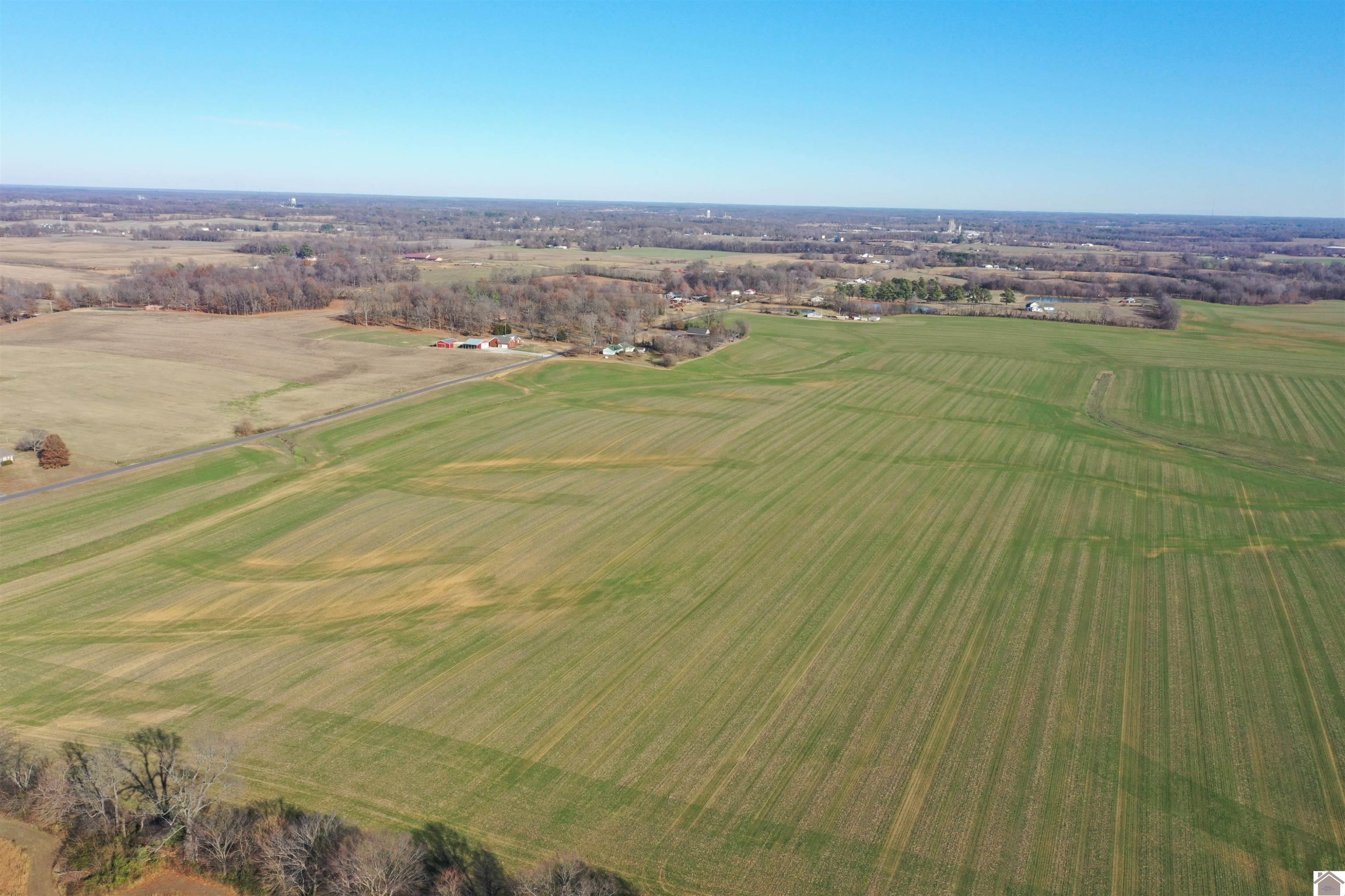 2323 Cardinal Road Mayfield, KY 42066 - Photo 4 of 23 Photo 4