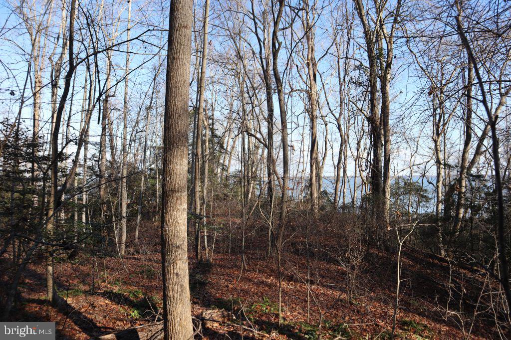 Mt Prospect Road Laneview, VA 22504 - Photo 5 of 10