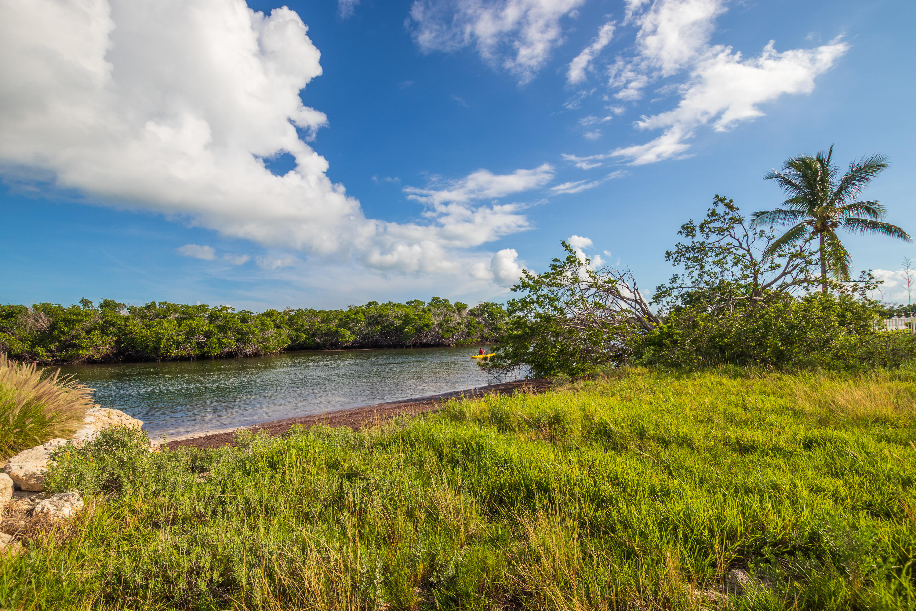 Coco Plum Drive Marathon, FL 33050 - Photo 6 of 13 Your BackYard