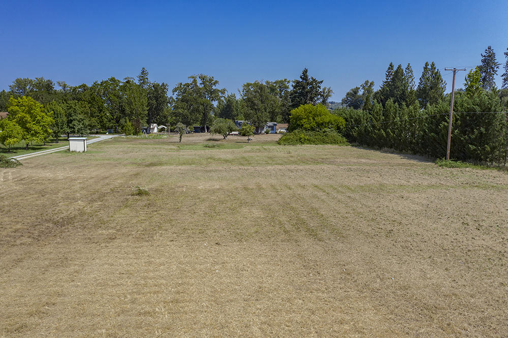 4028 Leonard Road Grants Pass, OR 97527 - Photo 8 of 26 a view of a field with trees in background
