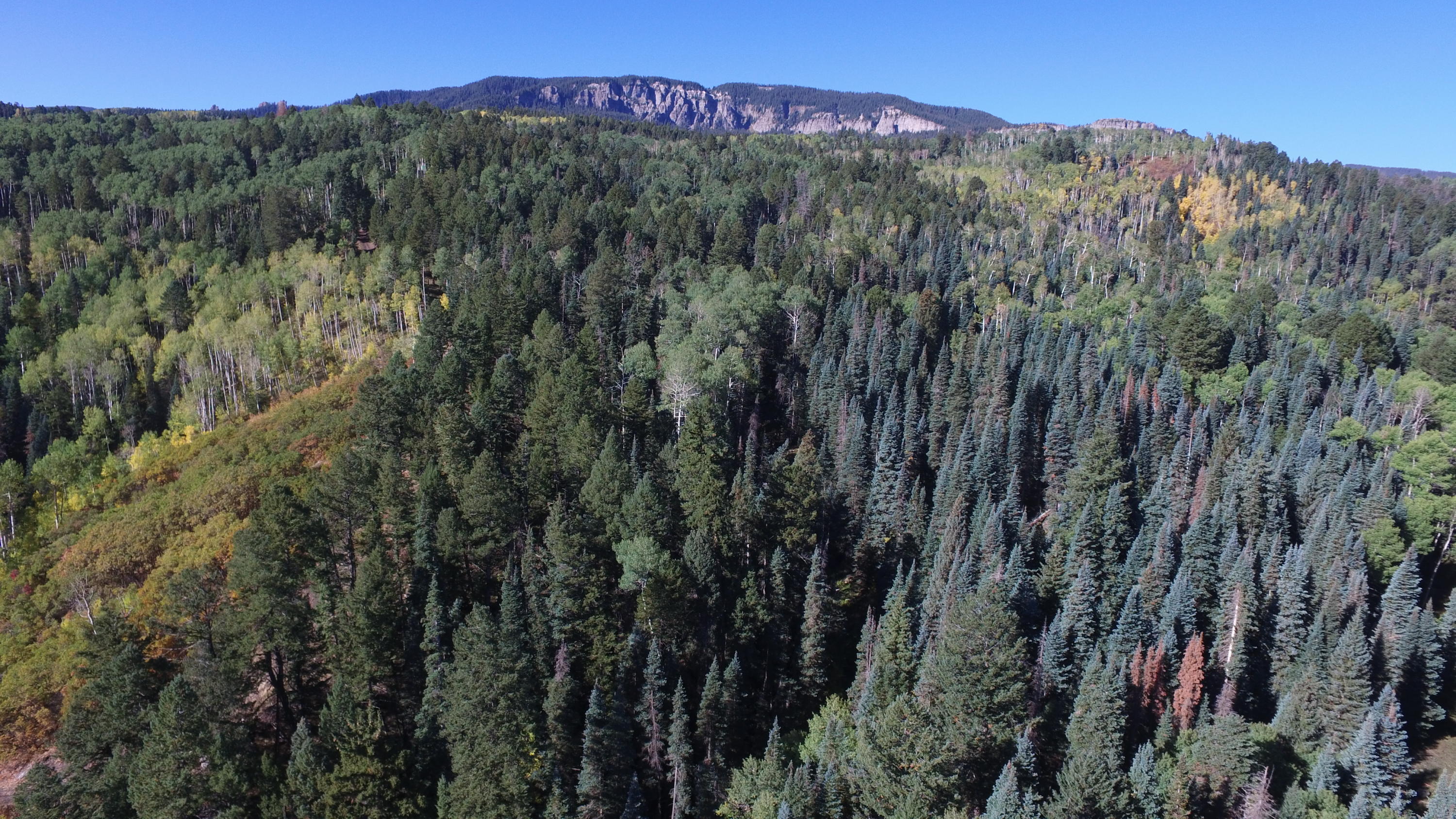 DJI_0024